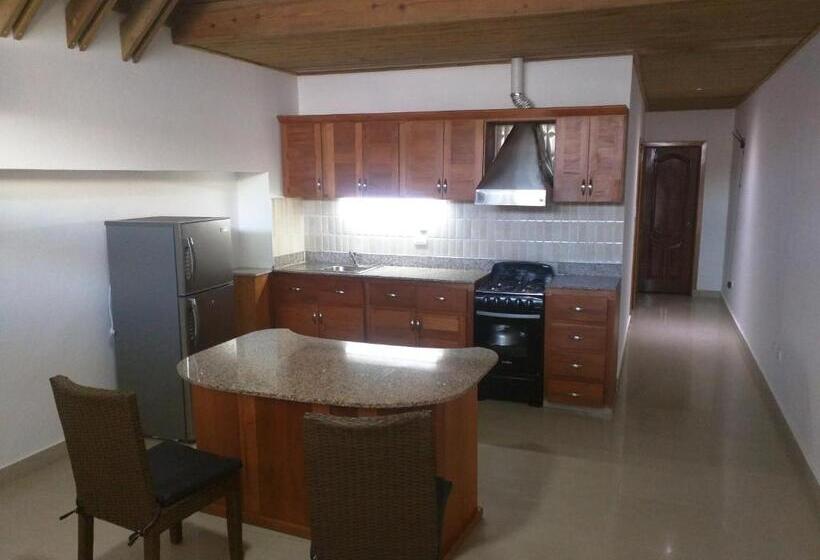 آپارتمان سوپریور 1 خوابه, Aparta Hotel Caribe Paraiso