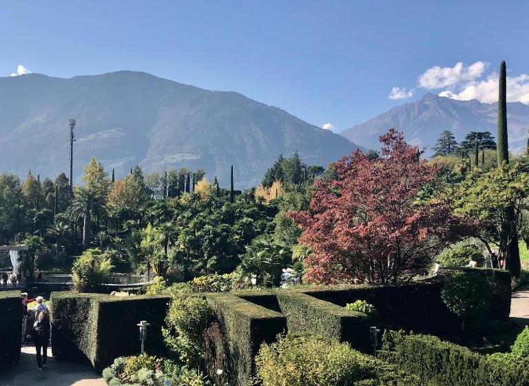 带1个卧室的公寓, City Apartments Portico