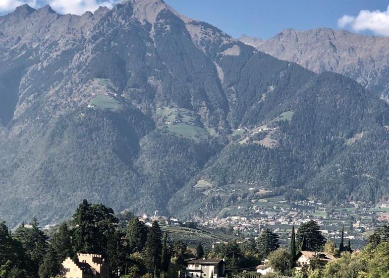 带1个卧室的豪华公寓, City Apartments Portico