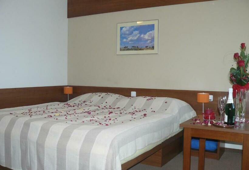 غرفة قياسية, Wellness Villa Liptov