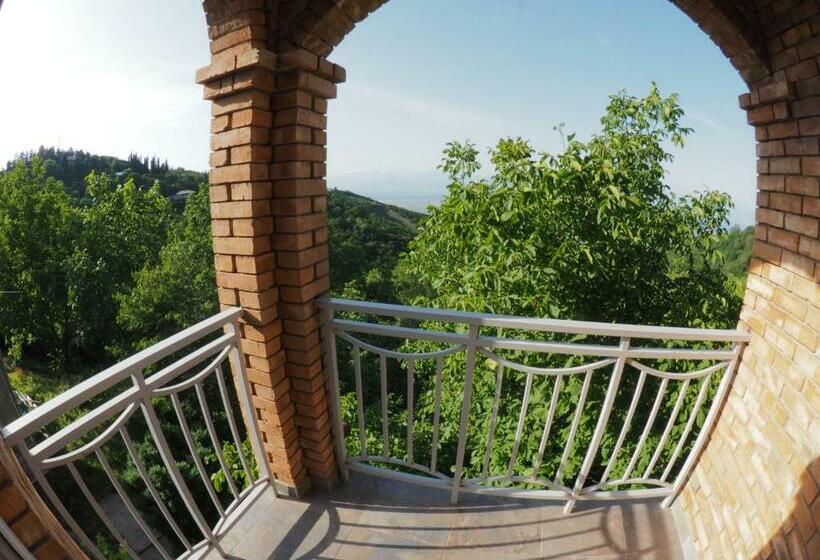 اتاق استاندارد با چشم‌انداز کوهستان, Zandarashvili Guest House