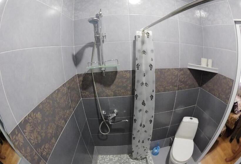 اتاق عادی, Zandarashvili Guest House
