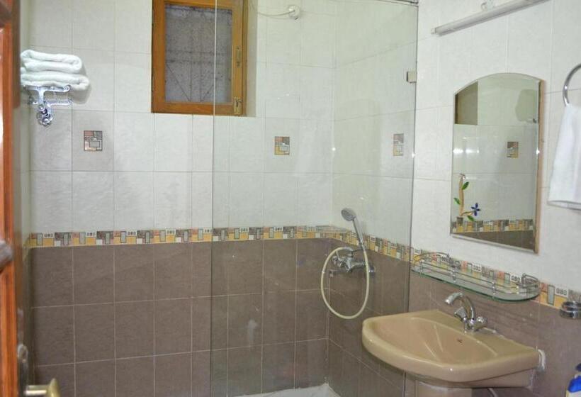 Номер Economy, Raj Cottage Ganga Vatika