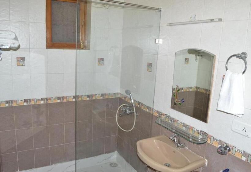 Номер Economy, Raj Cottage Ganga Vatika