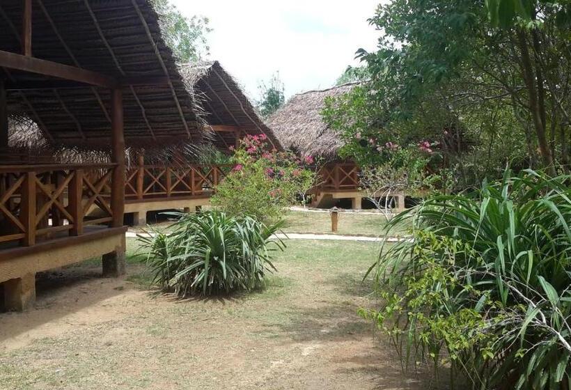 Хижина, Ganesh Garden Beach Cabanas