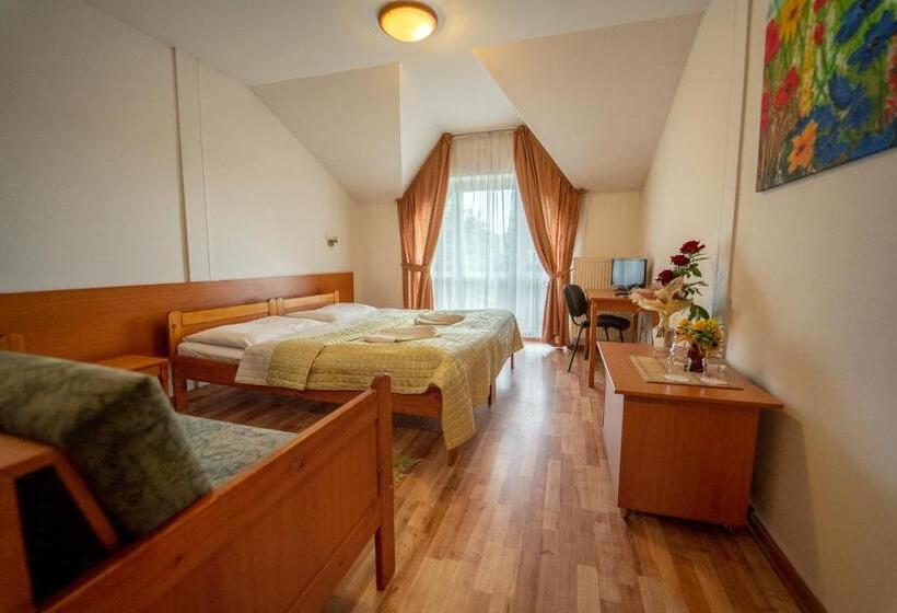 Номер Стандарт, Park Hotel Čingov