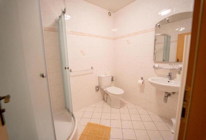 Номер Стандарт, Park Hotel Čingov