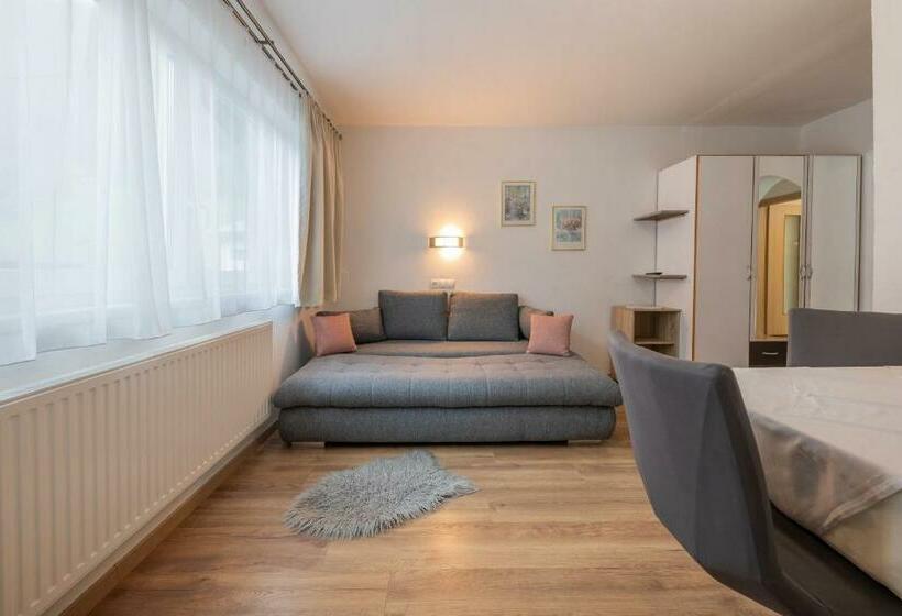 آپارتمان 1 خوابه با چشمانداز, Pension Steinadler