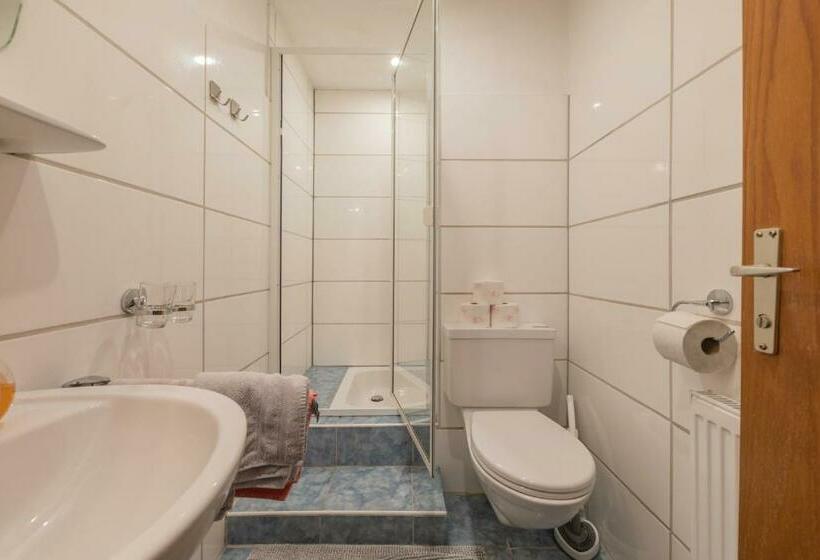 آپارتمان 1 خوابه با چشمانداز, Pension Steinadler