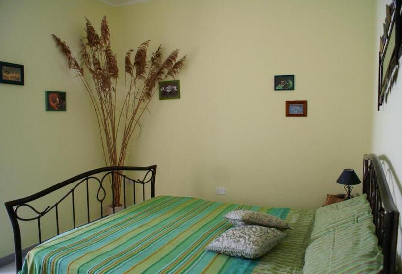 스탠다드 룸, Su Sole