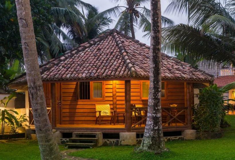 Hütte, Rockside Cabanas