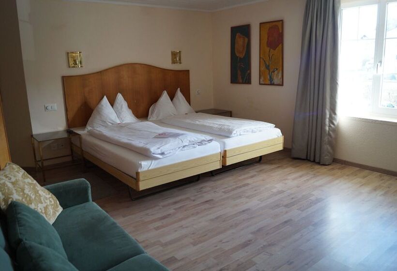 غرفة قياسية, Bodenseehotel Weisses Rössli