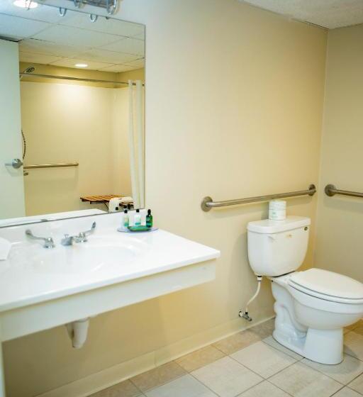 غرفة قياسية فردية لذوى الإحتياجات الخاصة, Altoona Grand