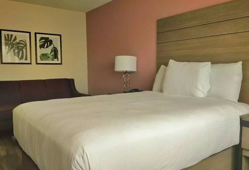 スイート, Arya Inn & Suites