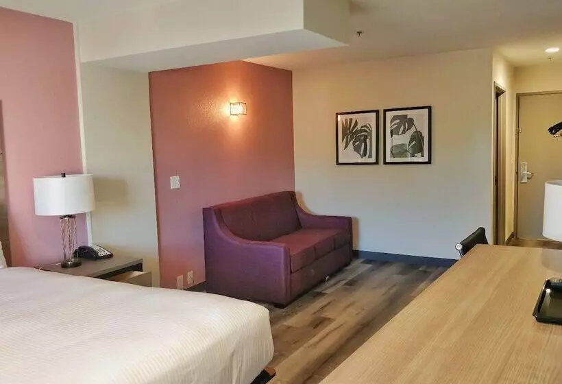 スイート, Arya Inn & Suites
