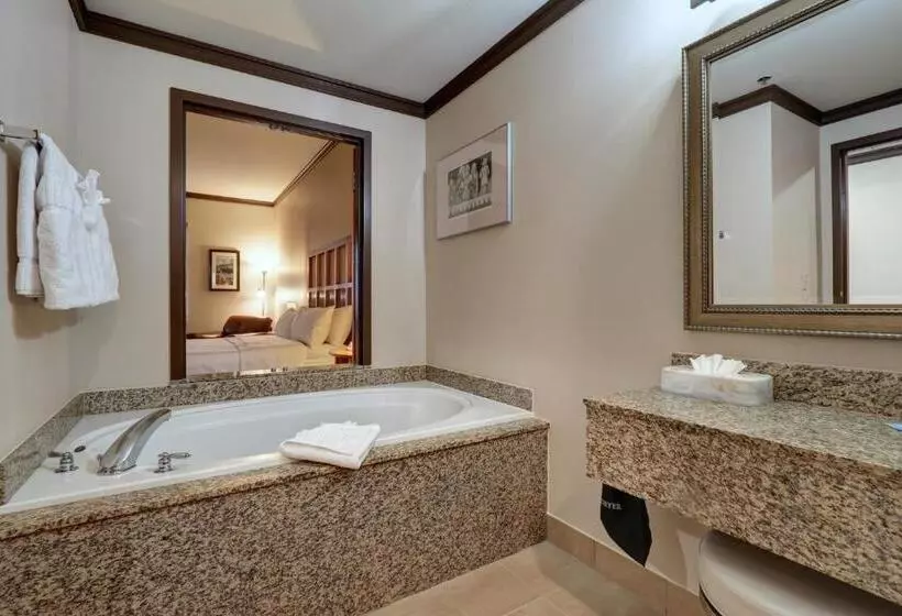 اتاق استاندارد با تخت بزرگ, Dimond Center