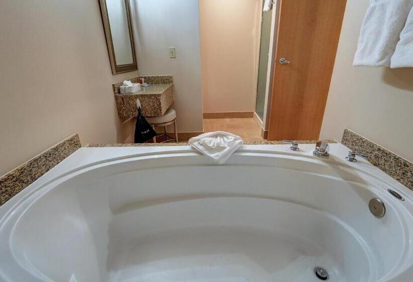 带大床的标准间, Dimond Center