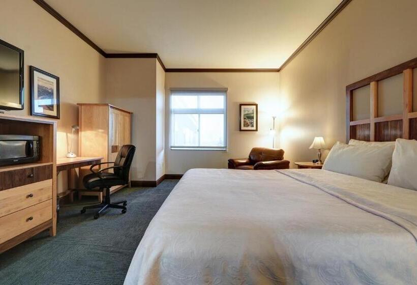 带大床的标准间, Dimond Center