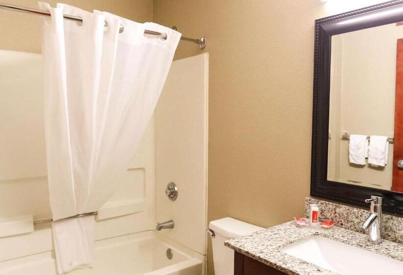 מיטת קינג בסוויטה, Econo Lodge Inn & Suites