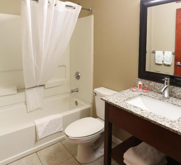 חדר סטנדרט מותאם לאדם עם מוגבלויות, Econo Lodge Inn & Suites