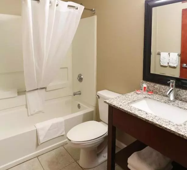 身障者適用スタンダードルーム, Econo Lodge Inn & Suites