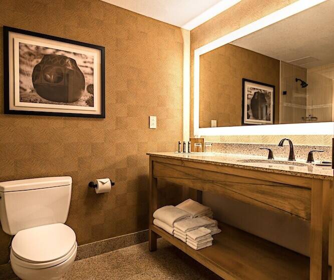 Номер Deluxe с Балконом, Eldorado Hotel And Spa