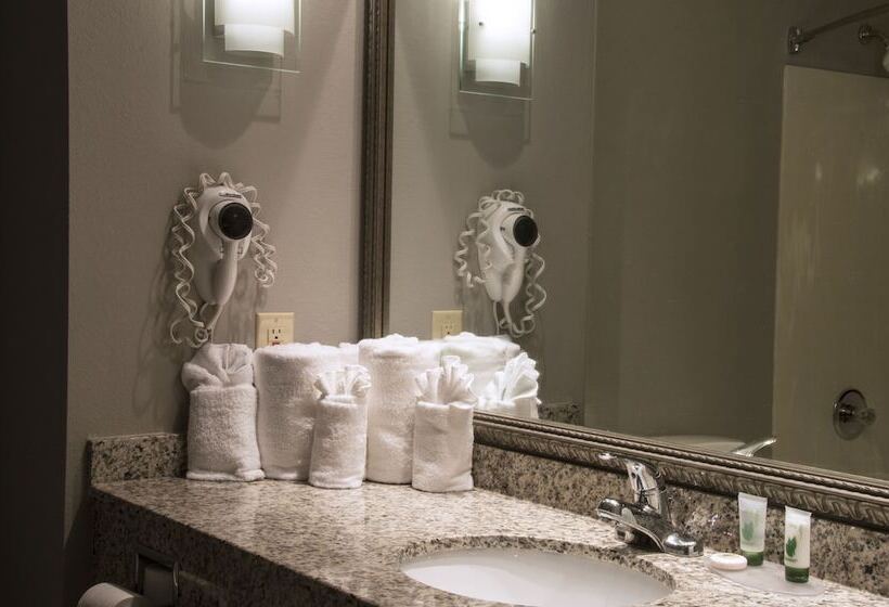 غرفة قياسية سرير مزدوج, Greenstay Inn & Suites Court View