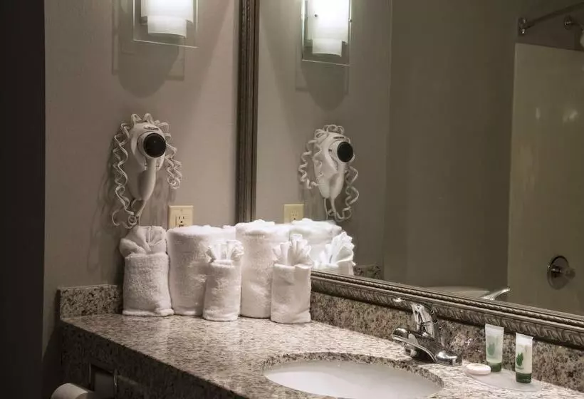 اتاق استاندارد با تخت دوبل, Greenstay Inn & Suites Court View