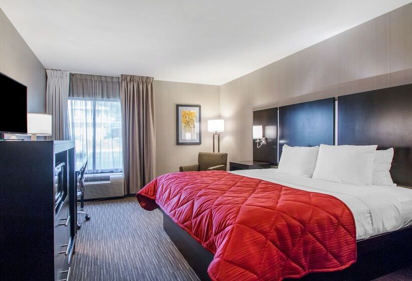 غرفة قياسية سرير مزدوج, Greenstay Inn & Suites Court View