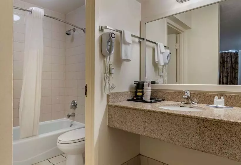 ２ダブルベッドのスタンダードルーム, Quality Inn At Town Center