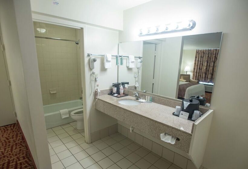 带2个双人床的标准工作室, Quality Inn At Town Center