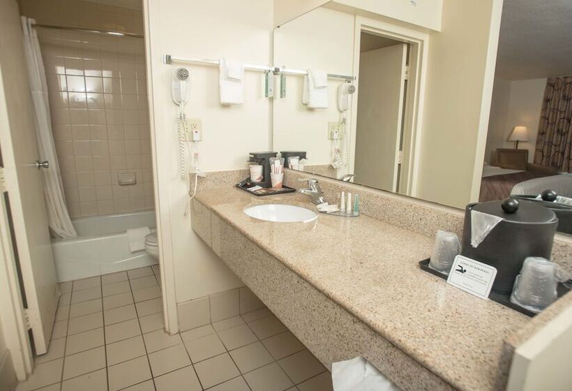 Номер Стандарт 2 Двуспальные Кровати, Quality Inn At Town Center
