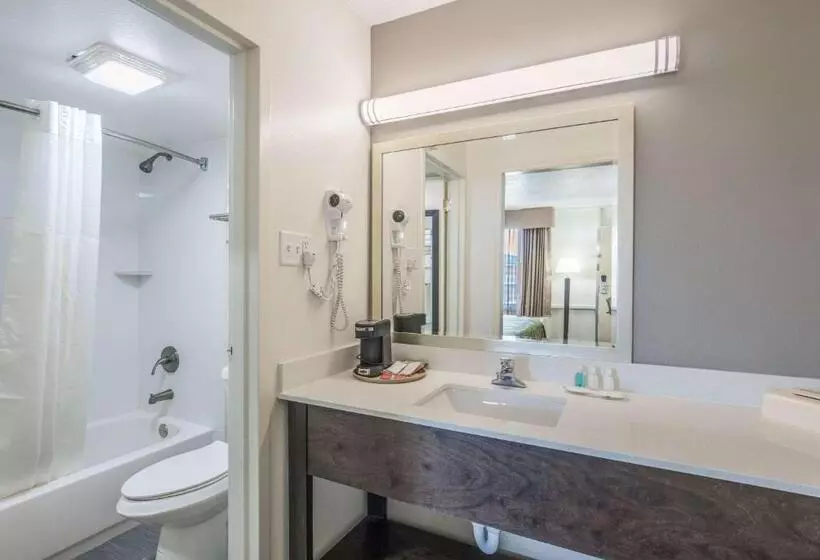 スタンダードルーム, Quality Inn & Suites Conference Center Thomasville