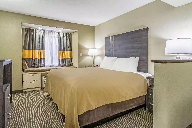 Sviitti King-vuode, Quality Inn & Suites North Lima  Boardman