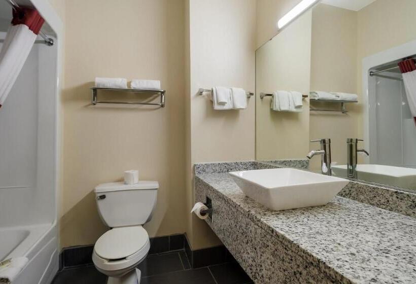 جناح سرير كينج, Red Roof Inn South Bend  Mishawaka