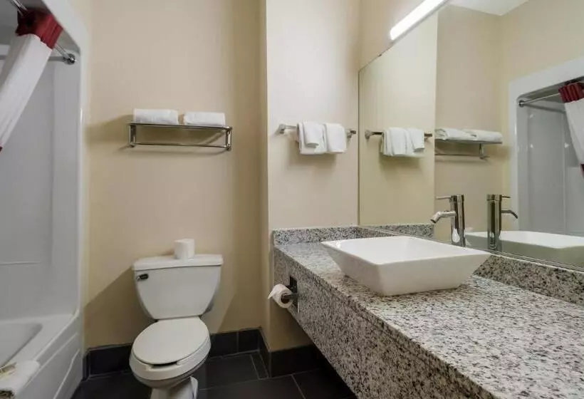 キングサイズベッドのスイートルーム, Red Roof Inn South Bend  Mishawaka