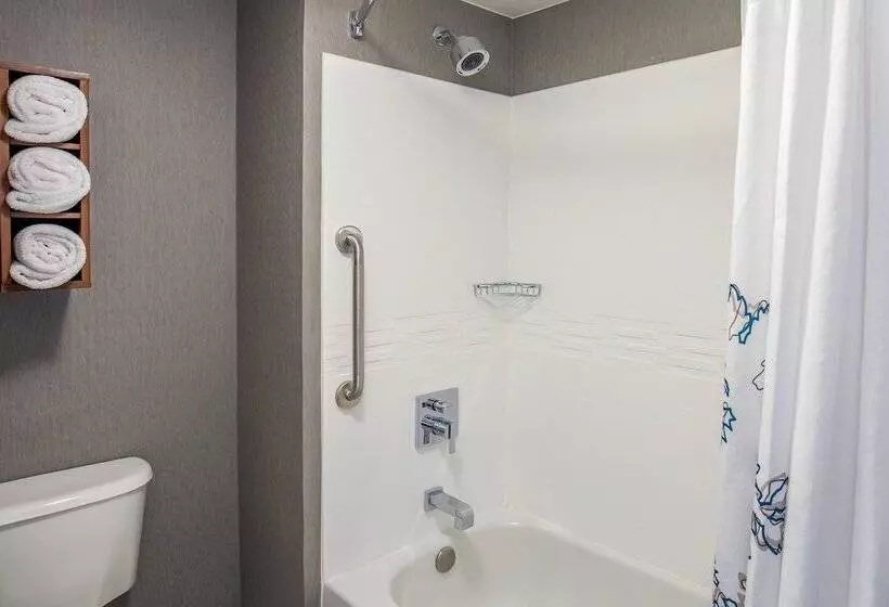 سوییت, Residence Inn By Marriott Boston Woburn