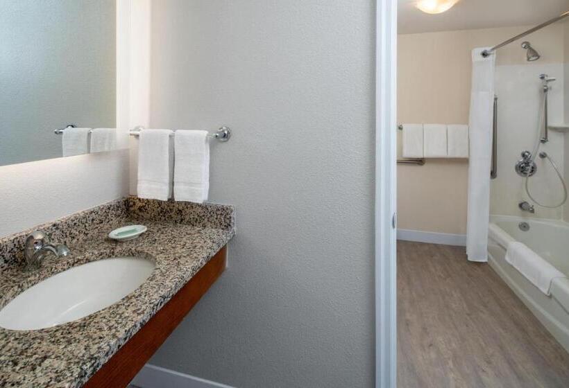 带四张床的标准工作室, Residence Inn Charleston Riverview