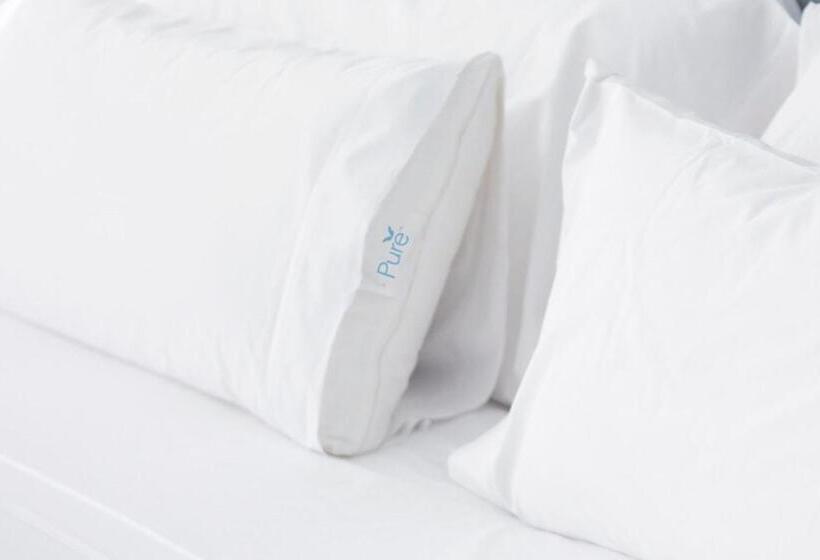 标准间, Residence Inn Fairfax Merrifield