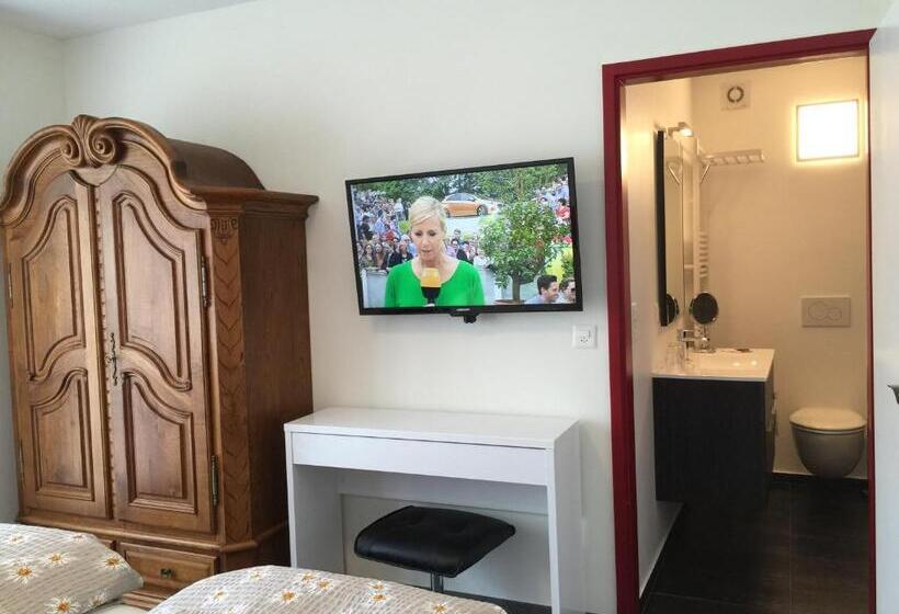 חדר סטנדרט יחיד, Römerhof