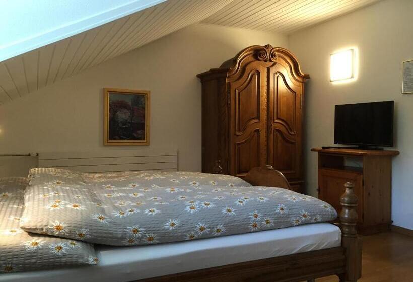 Номер Стандарт с Балконом, Römerhof
