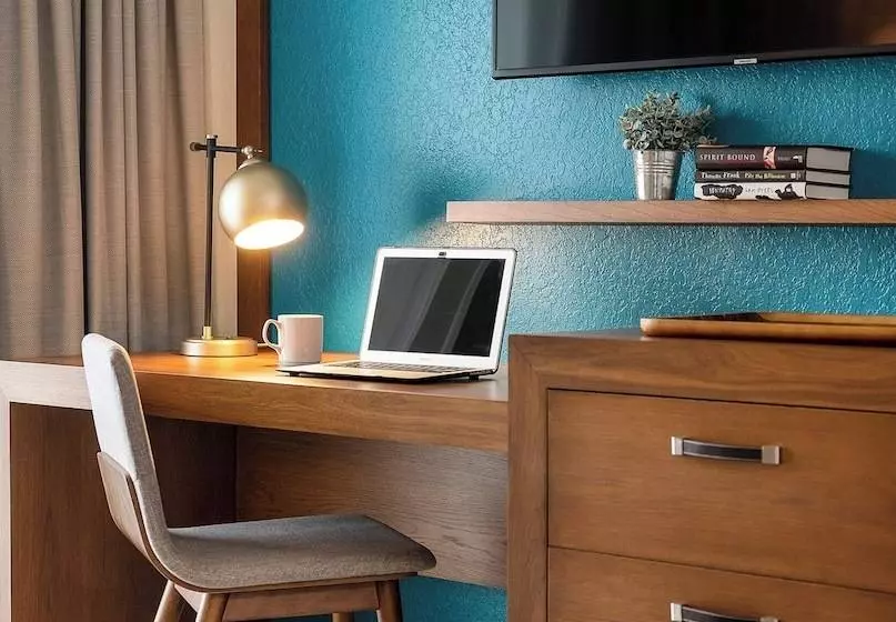 スタンダードスタジオ, Compass By Margaritaville Hotel Naples