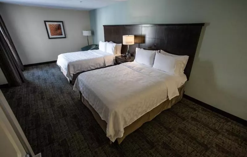 سوئیت برای معلولان, Staybridge Suites Silicon Valley   Milpitas, An Ihg