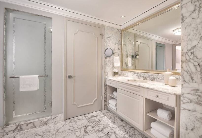 חדר סטנדרט מיטה זוגית עם נוף לעיר, The Ritzcarlton Coconut Grove, Miami