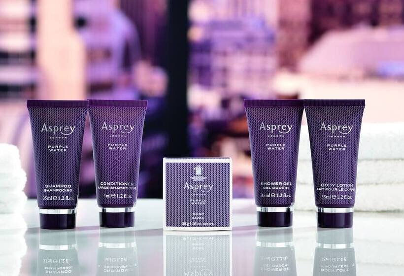 סוויטה אקזקיוטיב, The Ritzcarlton Coconut Grove, Miami