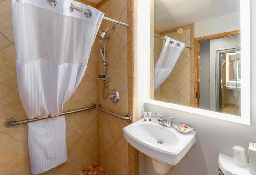 Mozgáskorlátozott Deluxe Szoba, Red Lion Templin S Hotel On The River