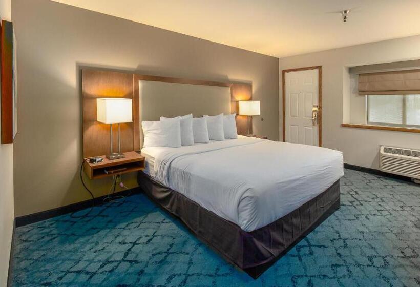 Mozgáskorlátozott Standard Szoba King Size Bed, Red Lion Templin S Hotel On The River