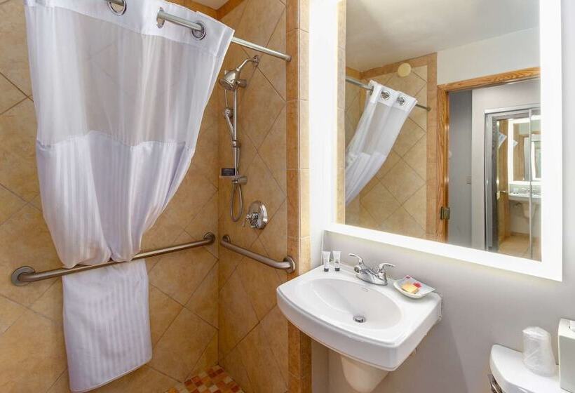 Mozgáskorlátozott Standard Szoba, Red Lion Templin S Hotel On The River