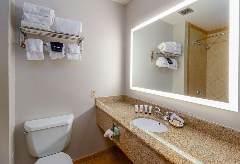 Deluxe Suite, Red Lion Templin S Hotel On The River