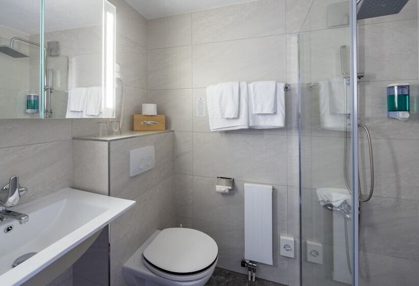 스탠다드 룸 호수 전망, Strandhotel Seeblick